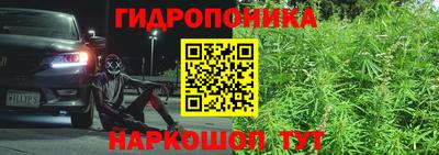 СК Моздок