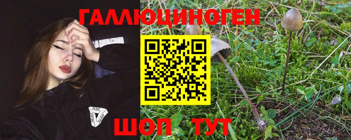 Галлюциногенные грибы MAGIC MUSHROOMS Хабаровск